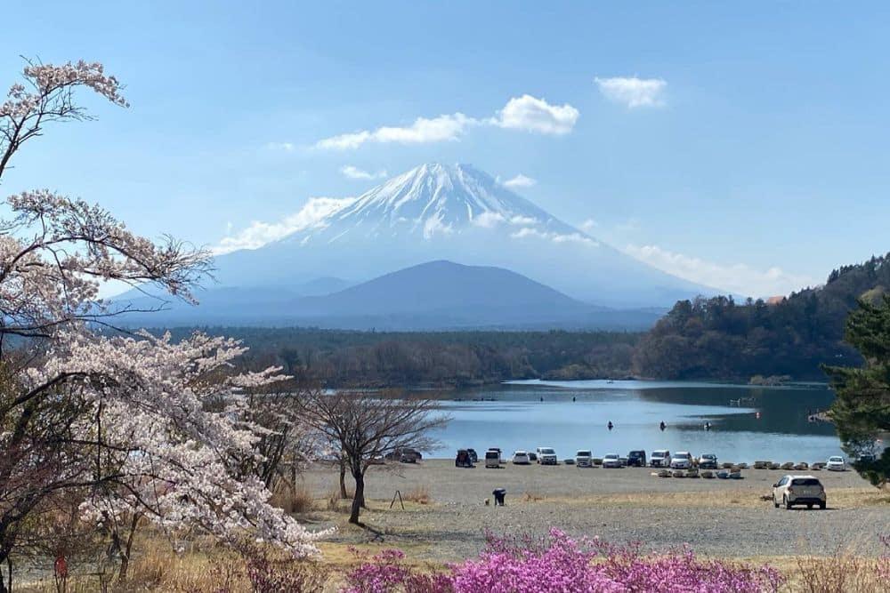 What to Eat/Cook on a Road Trip in Japan