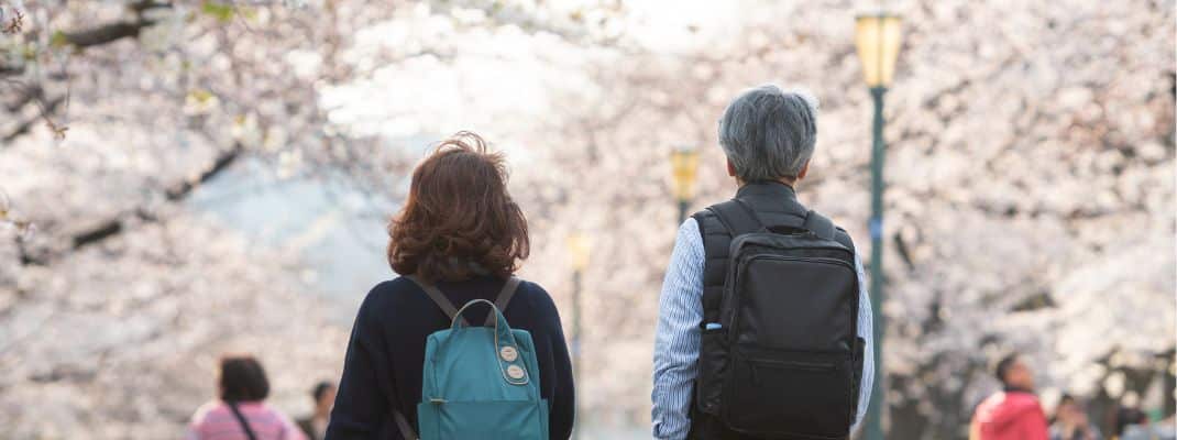 cherry blossom viewing in japan