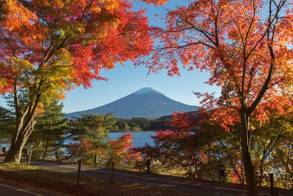 Seasonal Places to Visit in Japan: Fall and Winter