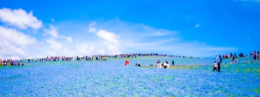 National Hitachi Seaside Park