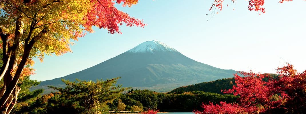 Mount Fuji Autumn
