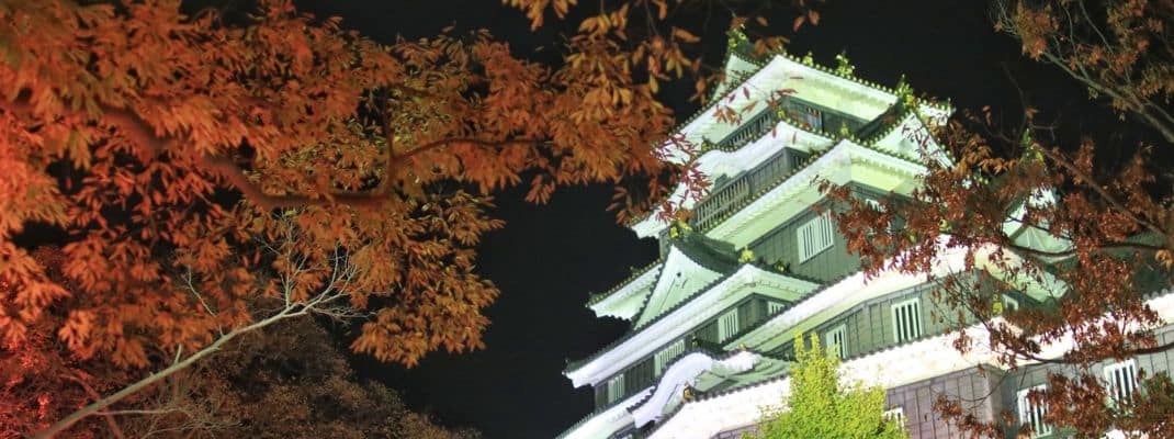 Okayama-castle Autumn