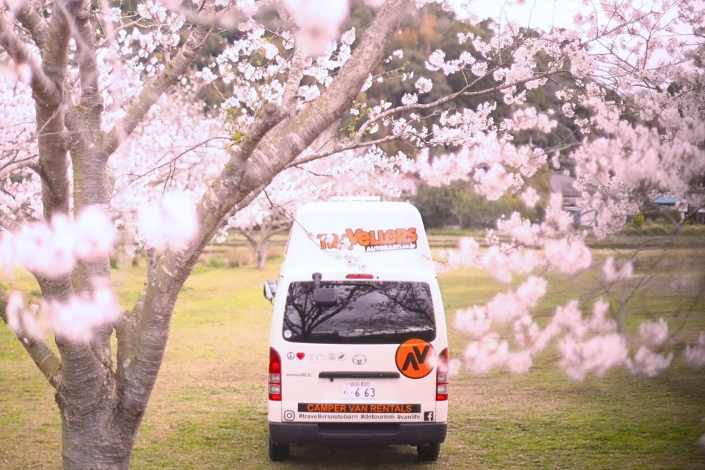 Enjoying Sakura By a Campervan Road Trip