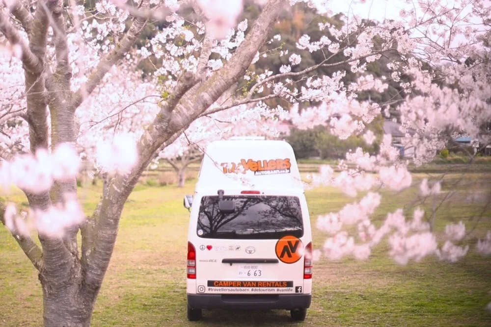 Enjoying Sakura By a Campervan Road Trip