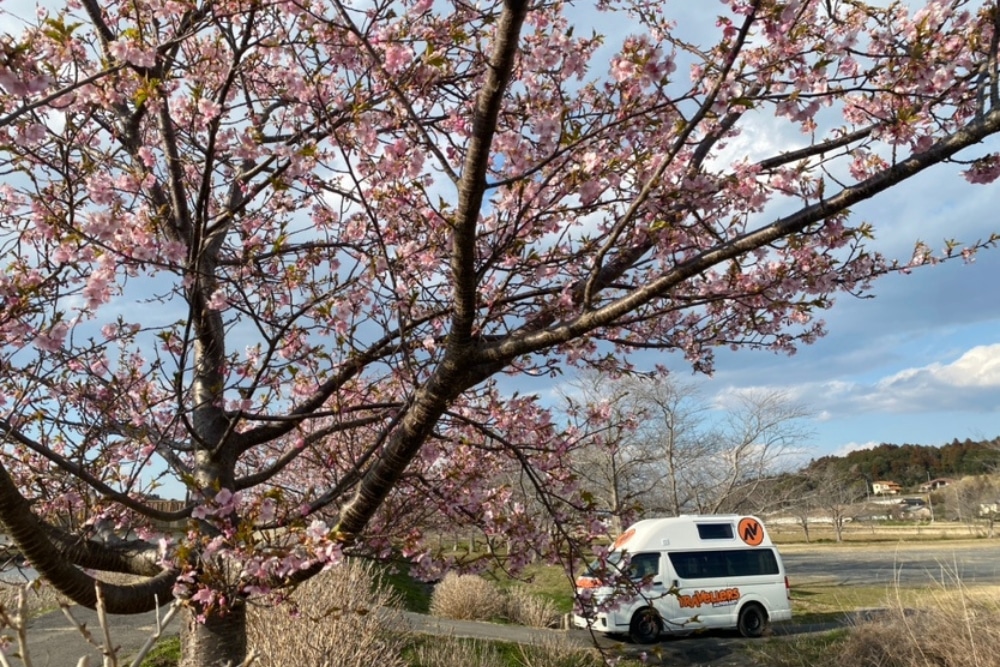 Sampling Japan’s spring delicacies on a campervan adventure