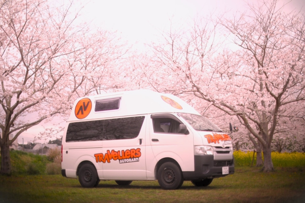 Best Cherry Blossom Road Trips by a Campervan