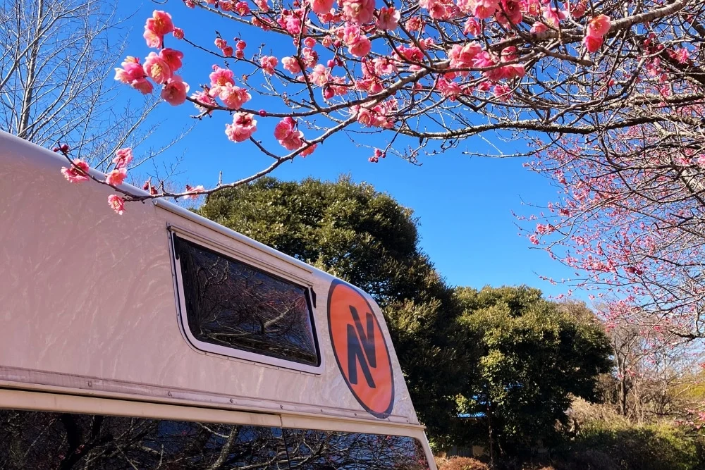 Chiba Coastal Escape: Take a Scenic Break Before Heading to Mt. Fuji!