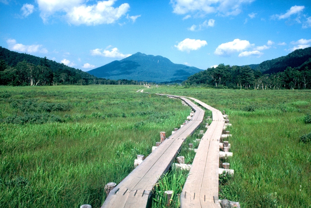 Scenic view of wooden trail and Mount Shibutsu during a Travellers Autobarn Campervan road trip in Oze National Park, Japan