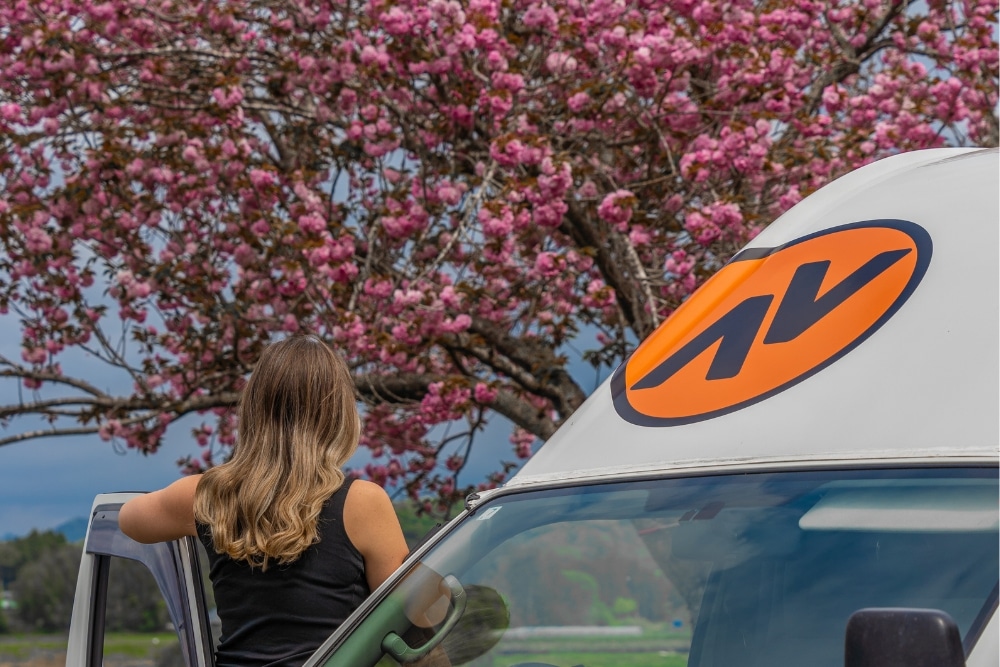 2-Week Spring Flower Road Trip in Japan