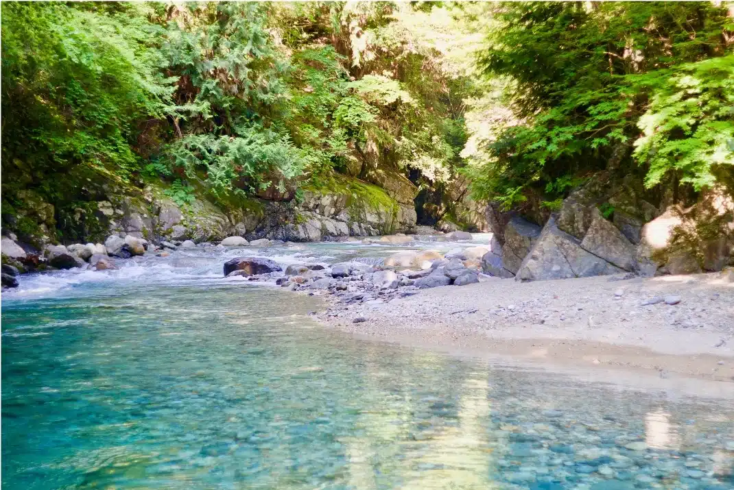 Clear turquoise river water and lush green trees in Atera Valley along the Japan Alps road trip route