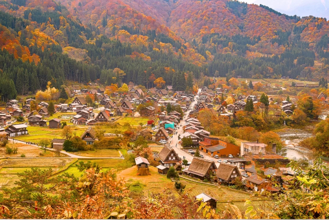 An aerial view of the historic Shirakawa-go UNESCO village featuring traditional thatched-roof gassho-zukuri farmhouses surrounded by golden fields and autumn forests.