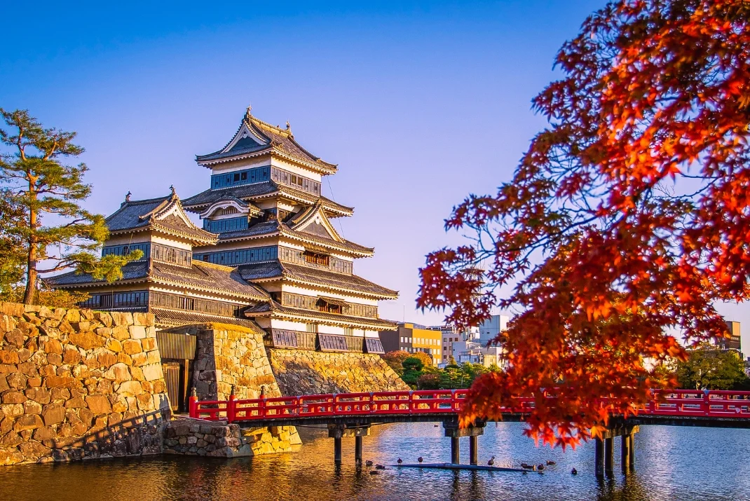 Matsumoto Castle's historic black wooden keep framed by a vivid red maple tree and a calm moat with a red bridge during peak autumn foliage.
