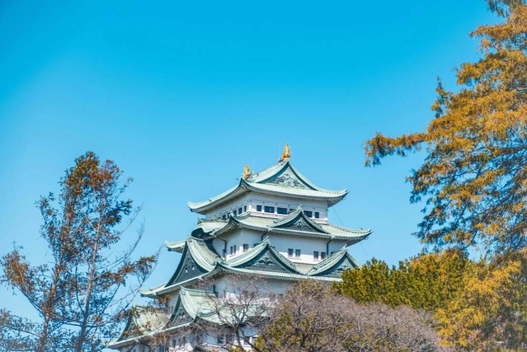 Low-angle view of the majestic Nagoya Castle tower with golden dolphins (shachihoko) on the roof, framed by autumn trees under a clear blue sky.