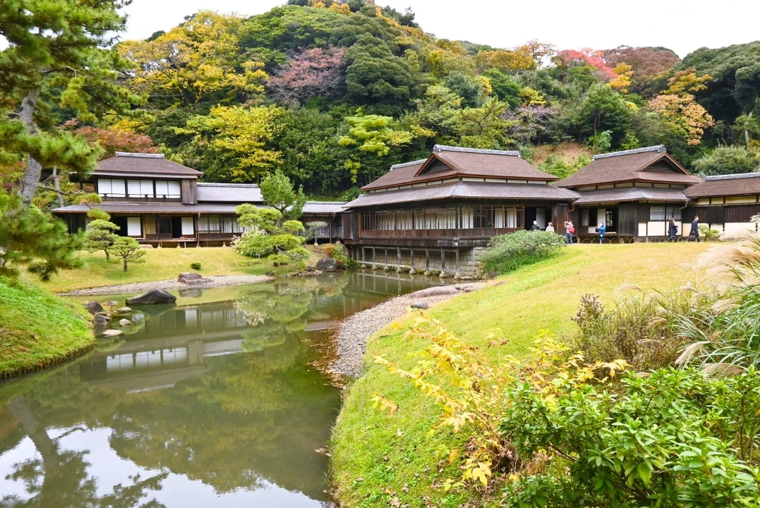 Traditional Japanese wooden buildings with thatched roofs next to a calm pond at Sankeien Garden in autumn, surrounded by green and autumn-colored trees.